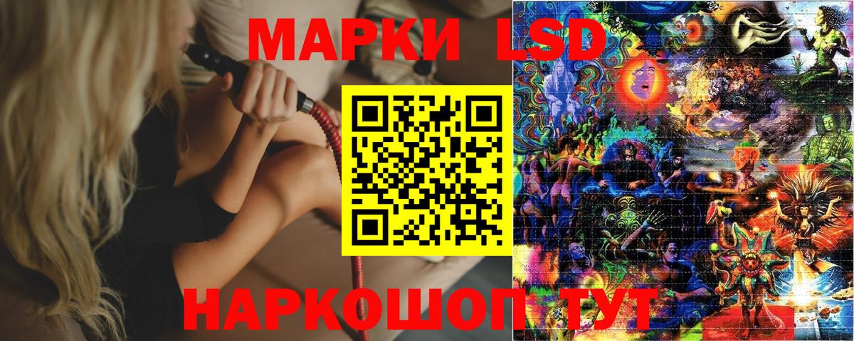Прохладный  Марки N-bome  Вход с VPN  Марки N-bome 1,8мг  Марки N-bome 1,8мг 